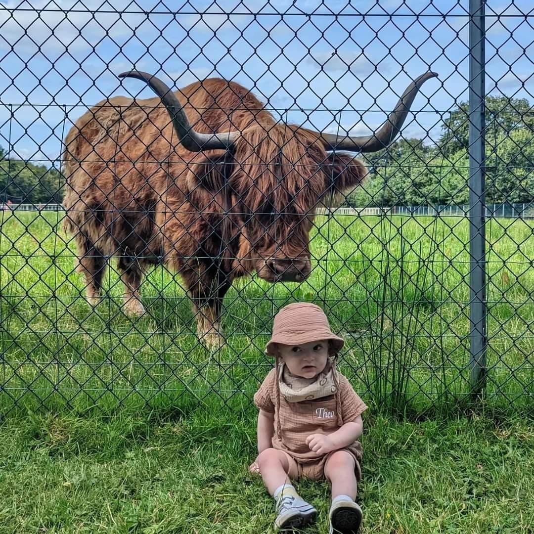 Our Animals – Rose Park Farm